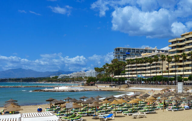 First Line Marbella Beach - Photo 43