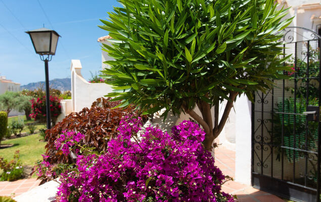 Las Golondrinas - Photo 15