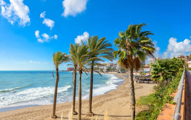 Los Nadales - Photo 49