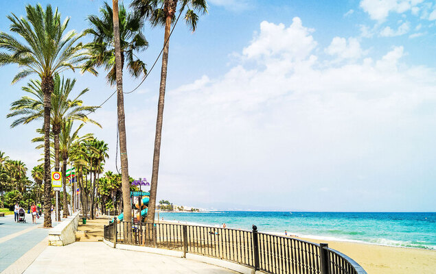 Las Adelfas - Photo 32