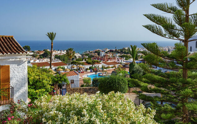 Los Olivos de Capistrano - Photo 2