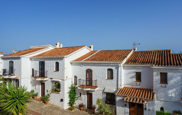 Los Olivos de Capistrano - Photo 22