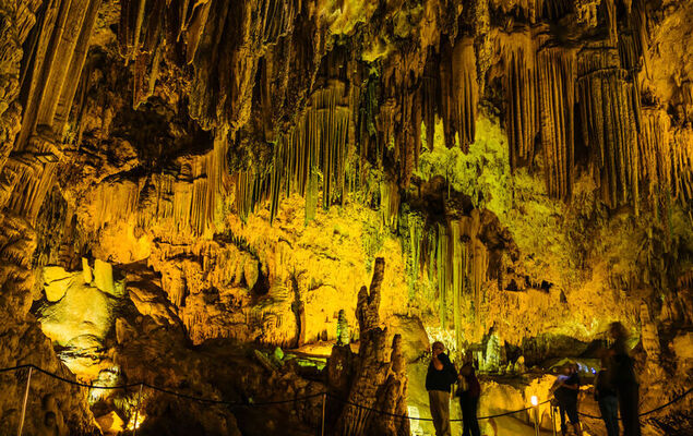 Los Olivos de Capistrano - Photo 57